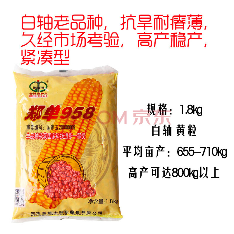 种菜记 高产大田玉米种子金博士郑单958适应性广抗旱抗倒伏丰产 金