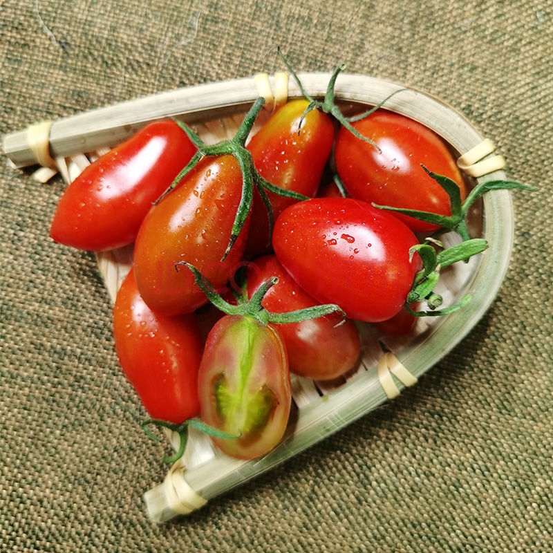 409 小柿子樱桃番茄非千禧圣女果新鲜花生小番茄 2斤红番茄 1斤黄番茄