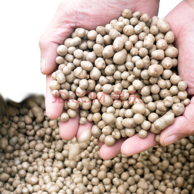 山药豆种子春季播高产铁棍山药种孑农家天然无污染山药种籽 2500克