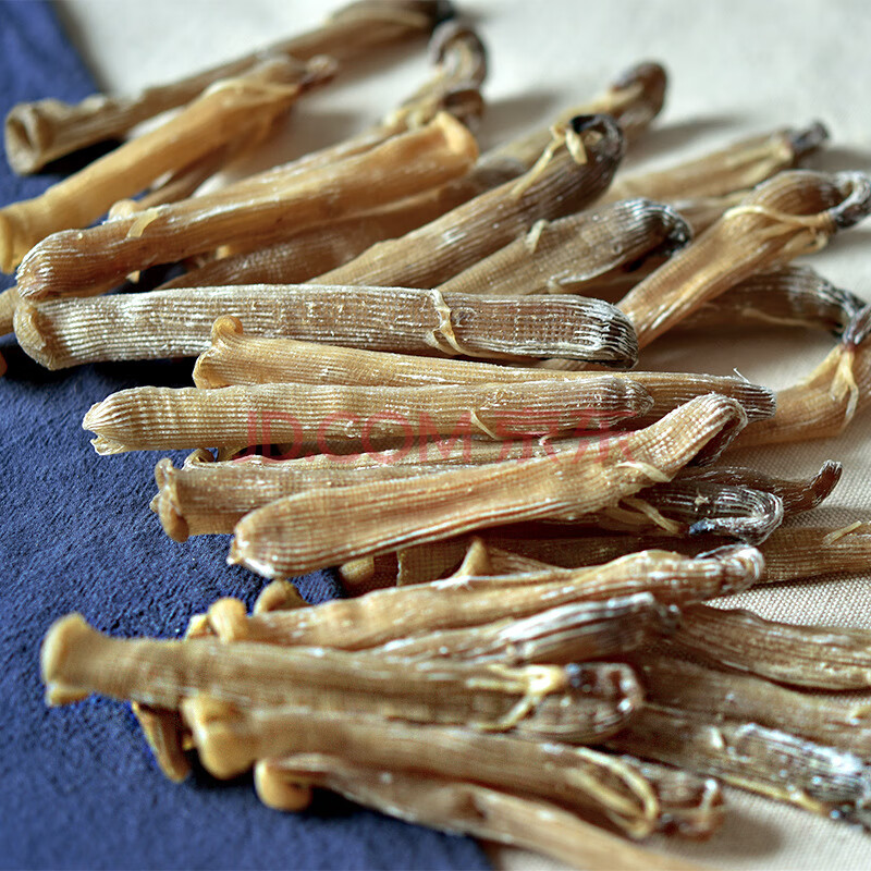 原色沙虫干 特级大号北海特产滋补养生送礼天然干货50g海肠子