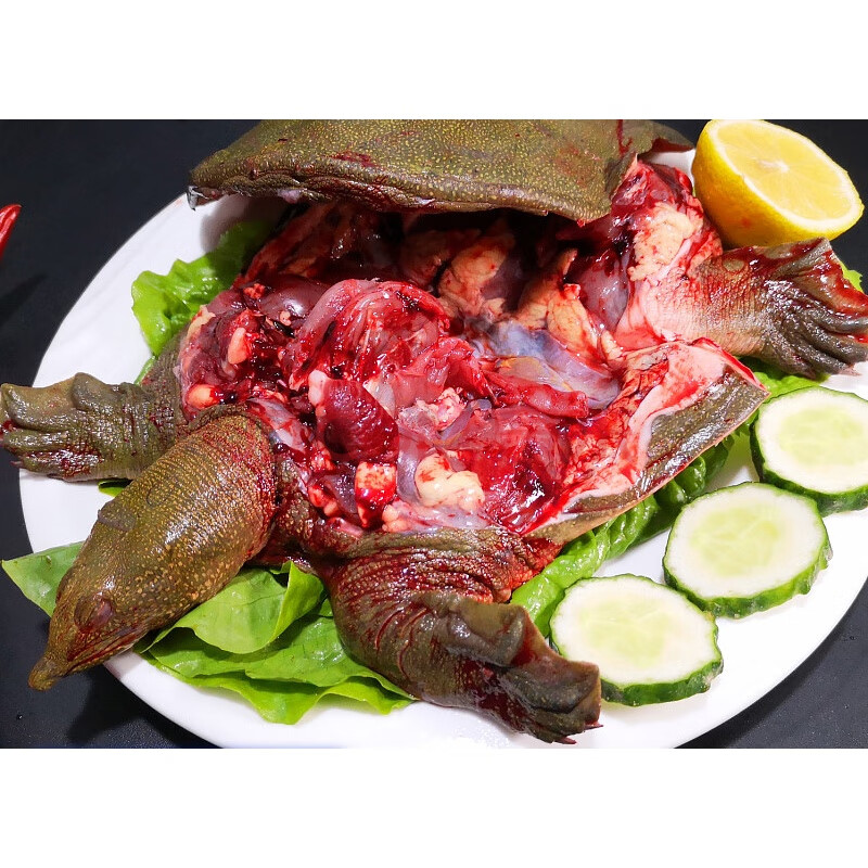 团鱼 现杀甲鱼2斤 宰杀真空包外塘王八水鱼鳖团鱼杀好炖汤