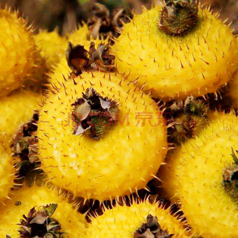 贵州特产刺梨果新鲜野生刺菠萝木梨子山王果 3斤装