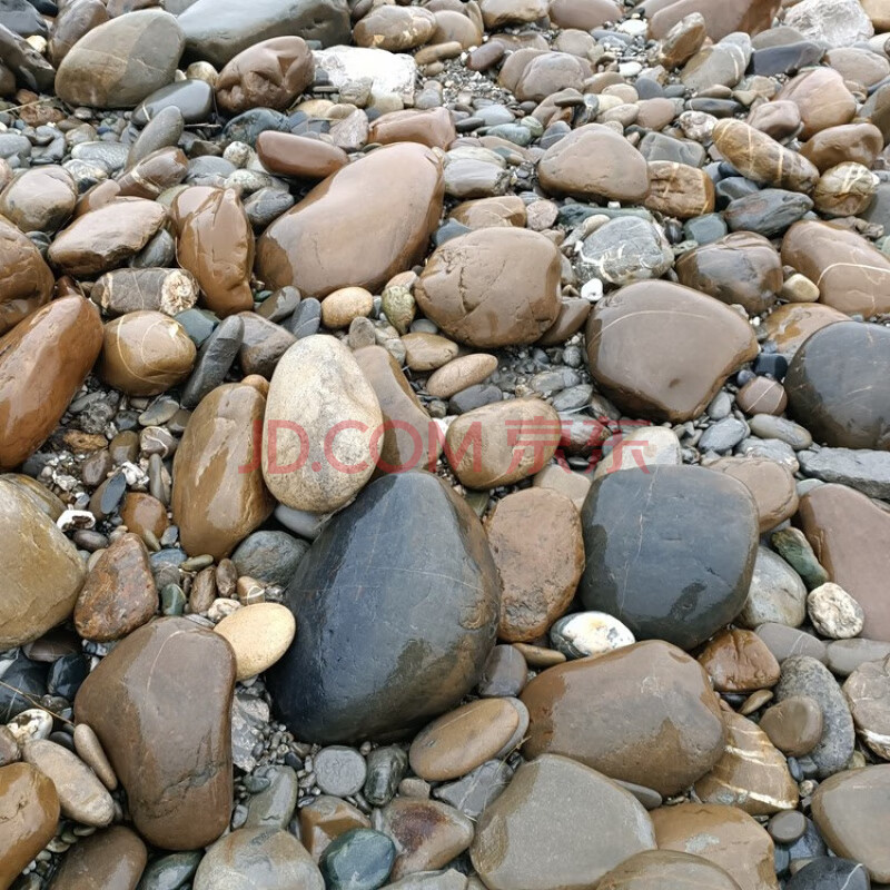 13厘米左右 随机1个石头