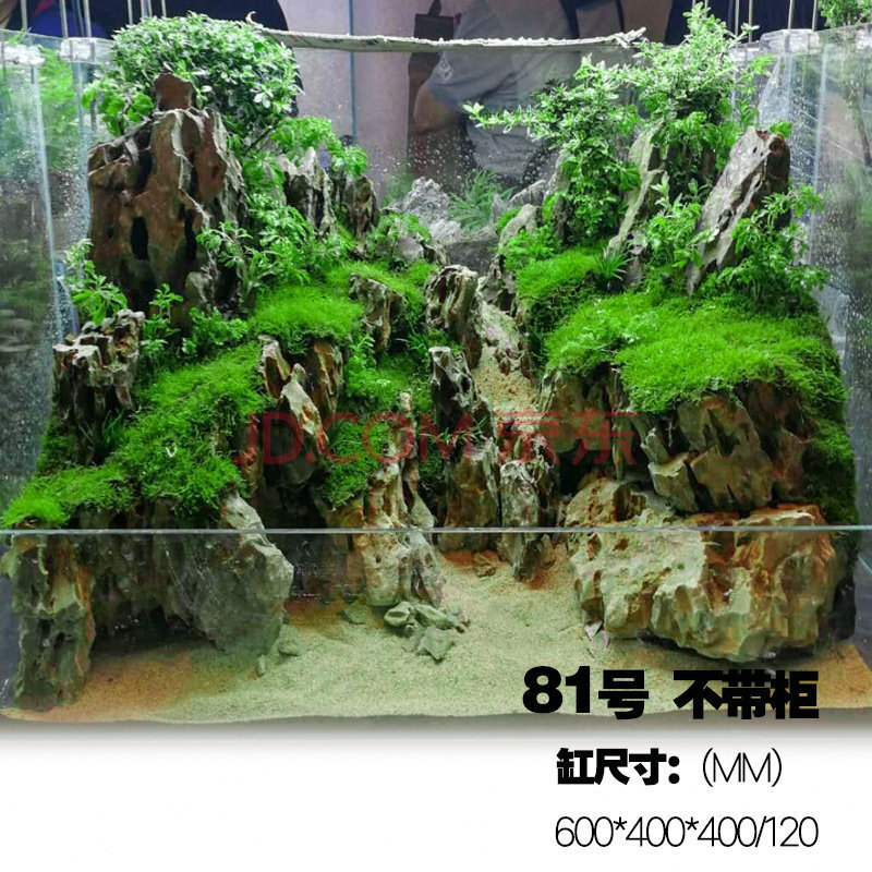 成品水陸缸雨林缸大中小型生態景觀定製兩棲魚缸植物假山造景套餐