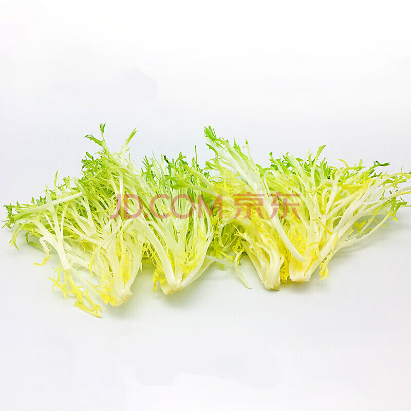 新鮮黃心苦菊 250g 苦葉苦菊生菜 狗牙生菜九芽沙拉蔬菜 500g