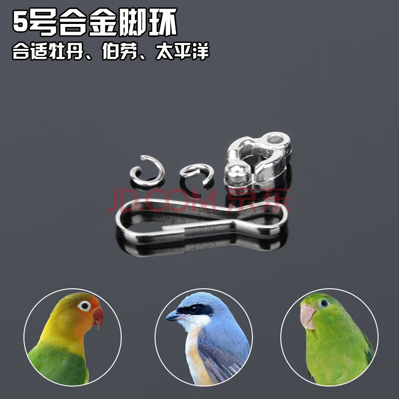 鸚鵡腳鏈八哥不鏽鋼鳥鏈站架鳥腳鏈鸚鵡用品用具 5號合金腳環(無鏈子)