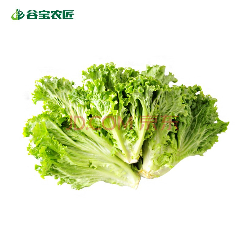 谷宝农匠·花叶生菜新鲜绿罗莎散叶生菜西餐罗沙绿沙拉食材 300g