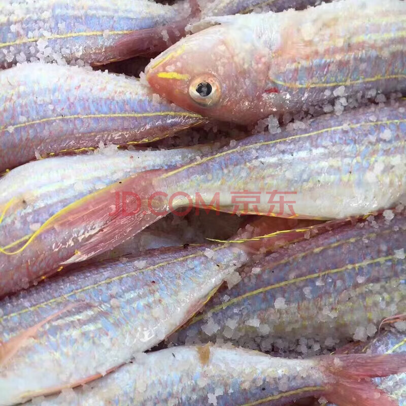 红杉鱼一夜埕阳江特产刀鲤鱼金线鱼腌制咸淡适宜2斤顺丰冷链