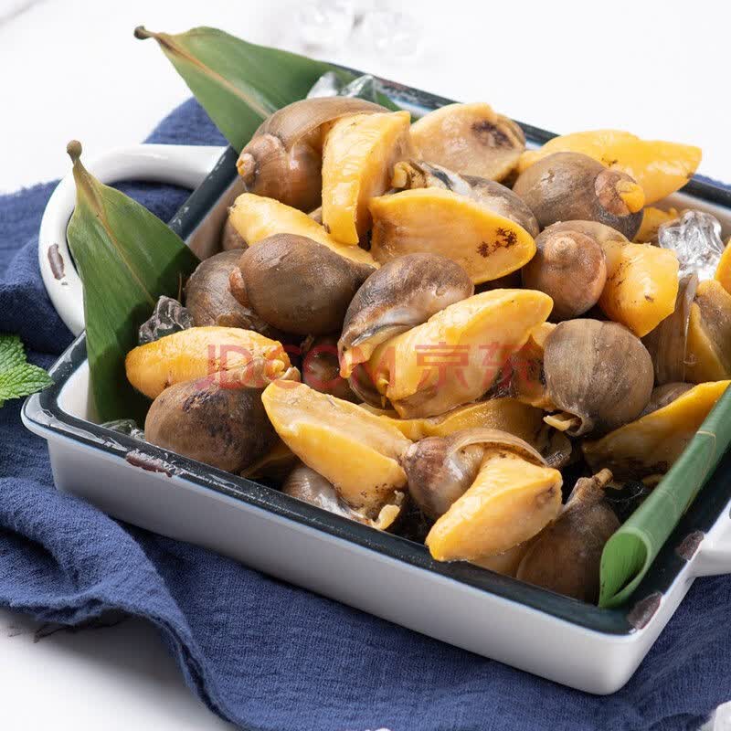 闻度鲜【产地直发】老婆脚假鲍鱼海鲜海蜗牛鲍鱼鲜活速冻贝类水产 2斤