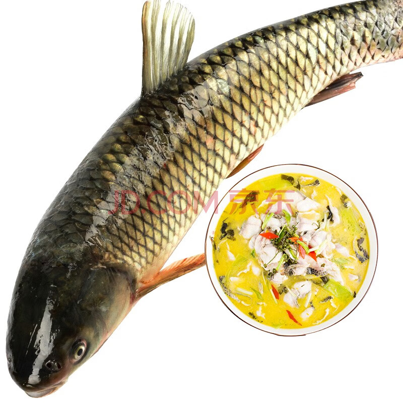太朴有机会天然活水大草鱼 河鱼草鱼 酸菜鱼 水煮鱼食材河鲜草鱼 淡水