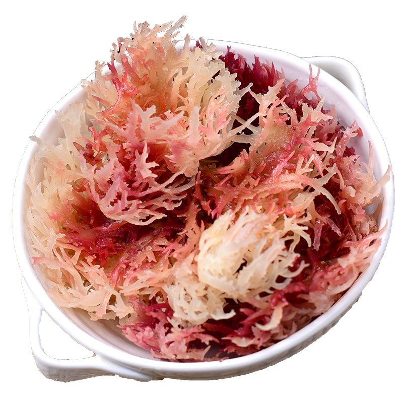 石花菜250克血海燕窝海石花鹿角菜龙角菜龙须菜干货特色菜