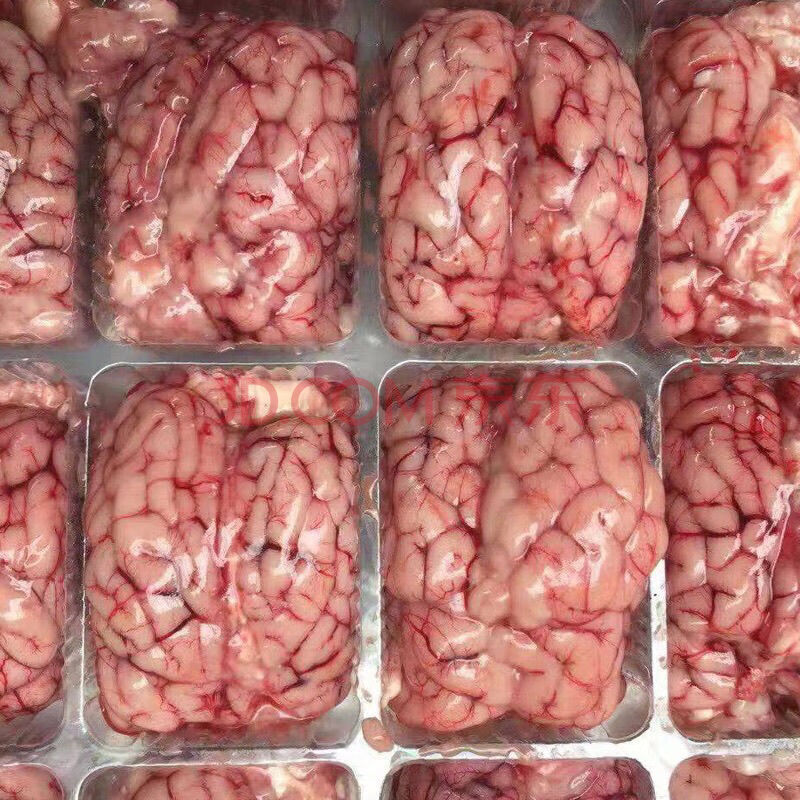 新鲜羊脑清真山羊羊脑花单脑对脑批发 羊脑3斤