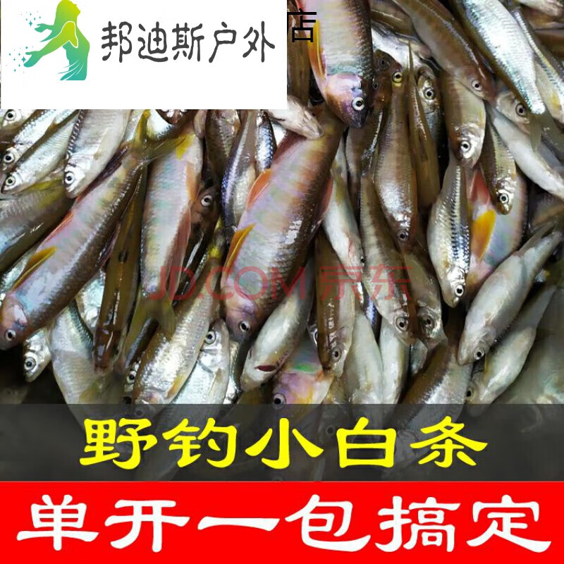 單開小白條餌料白條濃腥餌料專殺白條魚餌釣餐條餌料小魚殺手 漁野