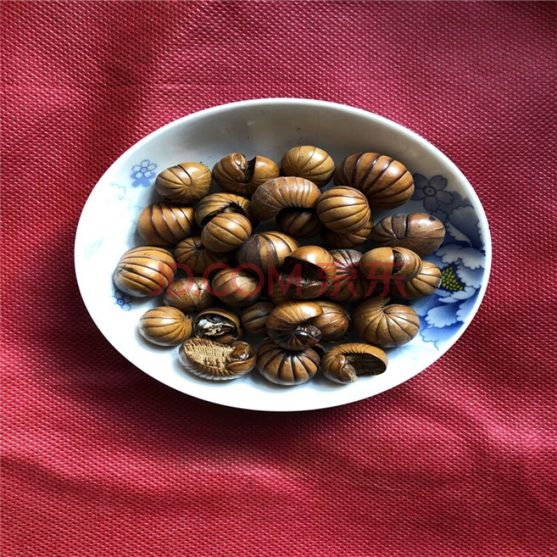 滚山虫中药材 500克 地罗汉 滚山珠精选滚山虫大个