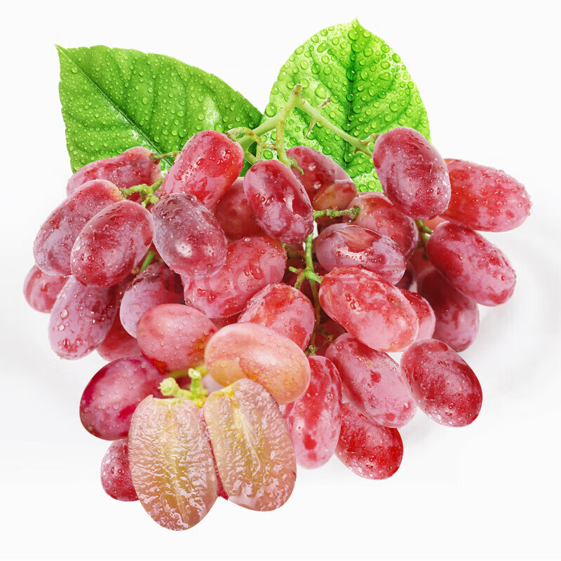红提 无籽红提 提子红葡萄 新鲜水果 约1kg