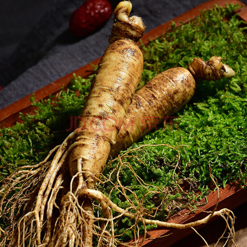 康中尊 东北吉林生鲜人参新鲜长白山500g一斤泡酒整枝特大个即食煲汤
