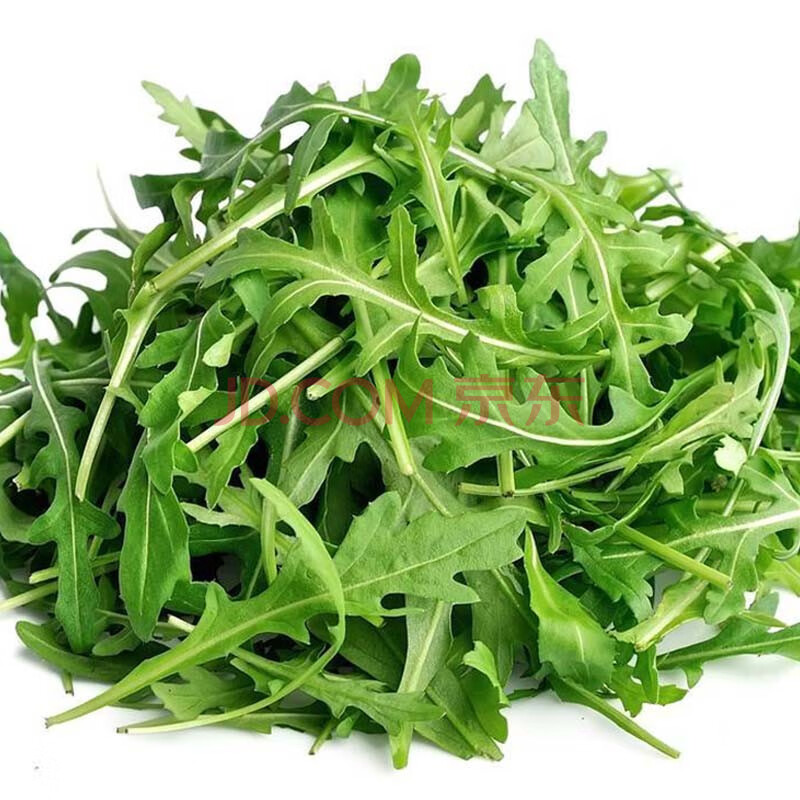 芝麻菜 德国火箭菜 新鲜蔬菜沙拉食材西餐色拉菜 500g