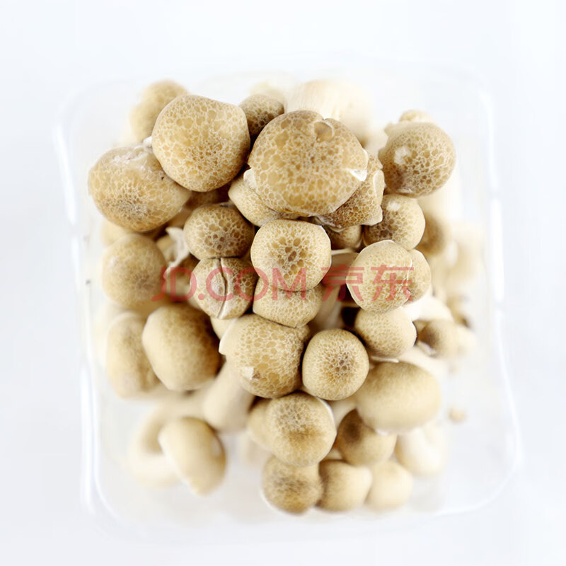 新鲜菌蟹味菇300g*2 白玉菇蘑菇新鲜菌类时鲜菌