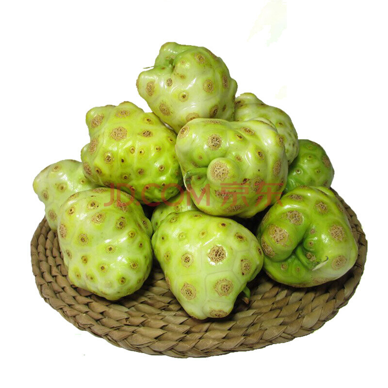 海南诺丽果 酵素原料新鲜诺尼果 2.5kg