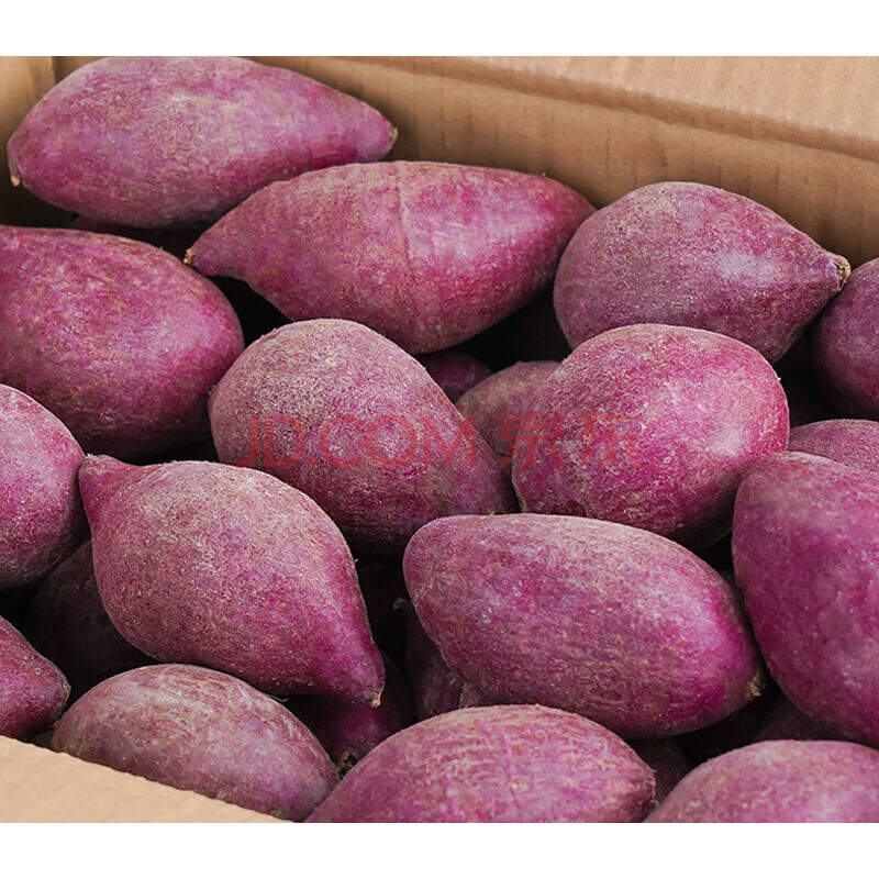 3/5斤越南小紫薯红薯新鲜农家沙地自种小个番薯地瓜珍珠板栗红薯 1500