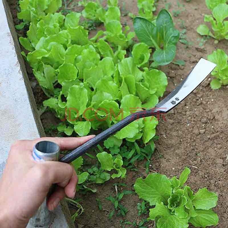 园艺用品 园艺工具 泰鹏(taipeng) 小铲子挖野菜收蒜铲草药起根种花