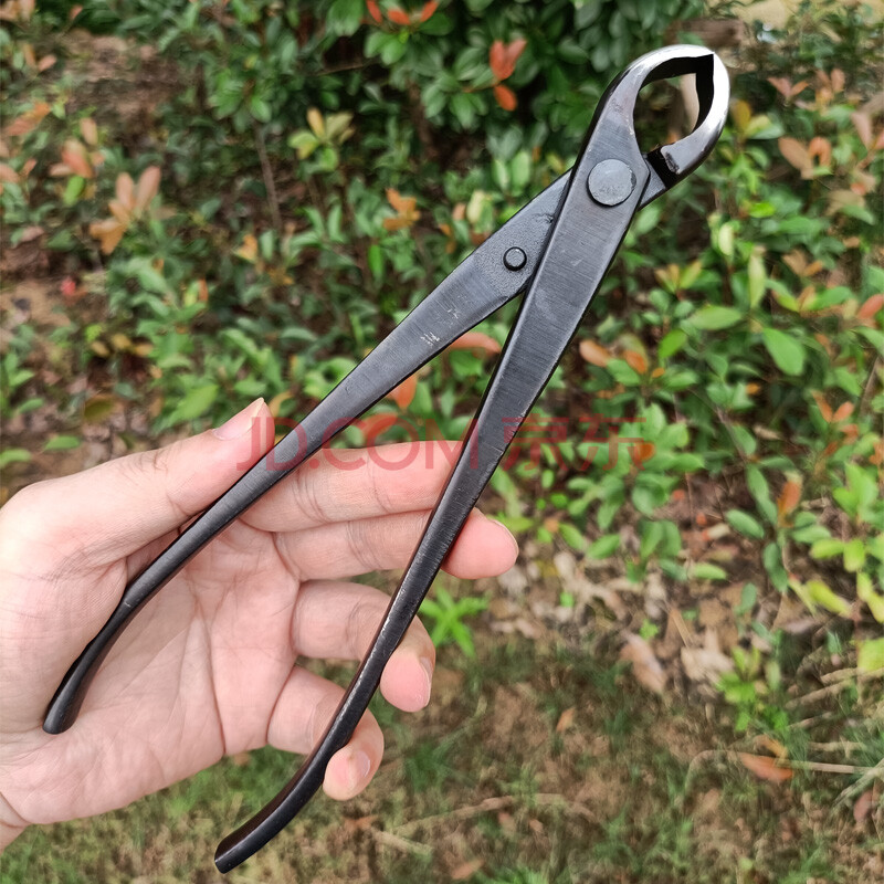 球节剪专业盆景工具球剪球结制作养护盆栽工具球形剪树瘤树节修剪 210