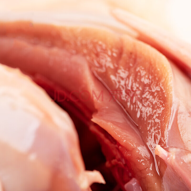 棠鲜生乳鸽生鲜鸽子农家喂养土鸽子汤乳鸽子肉新鲜现杀 2只