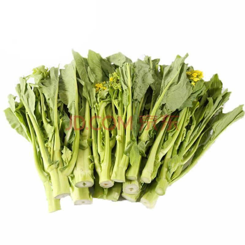 【增城農特產館】綠聚來 新鮮蔬菜 增城遲菜心 嚐鮮1kg(20cm)