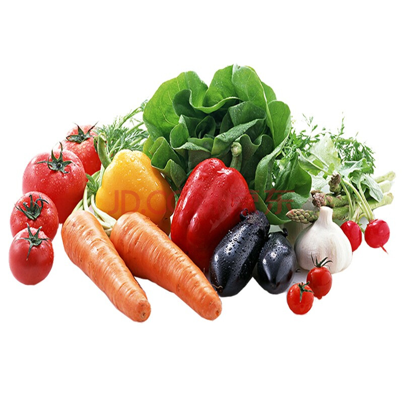 湖南江永：锚定商场需求 蔬菜工业激活村庄复兴新动能