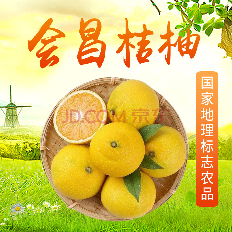 新品上市 多买优惠(2.1-3.31)