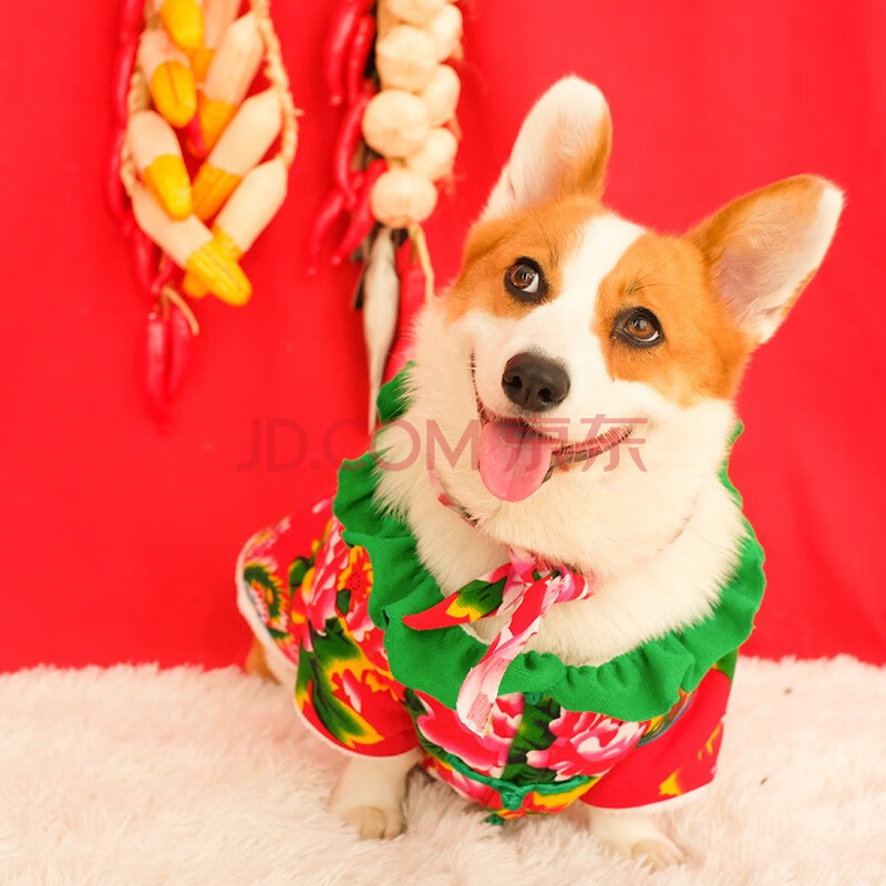 innopet柯基衣服新年唐装狗狗拜年装唐装柴犬秋田中型犬幼犬宠物过年