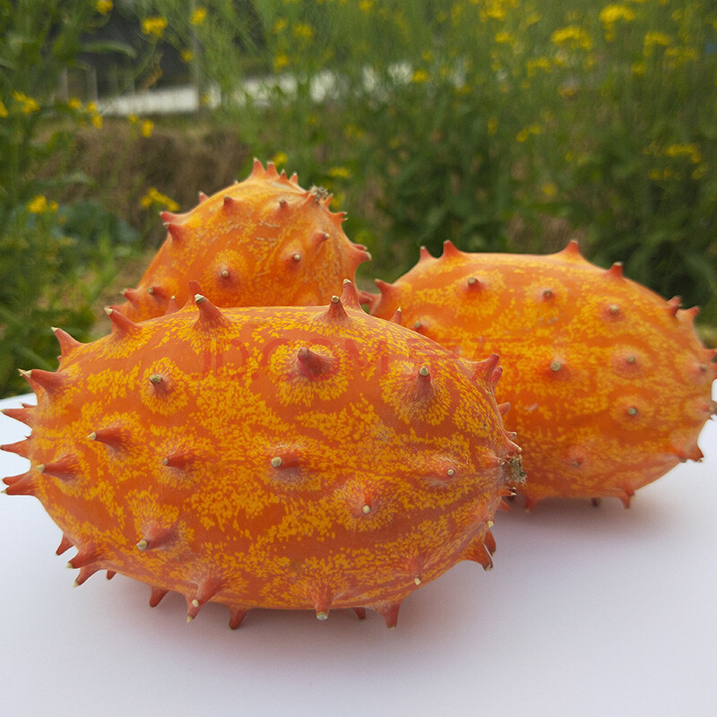 火参果新鲜火生果火星果刺角瓜低糖水果 5个装