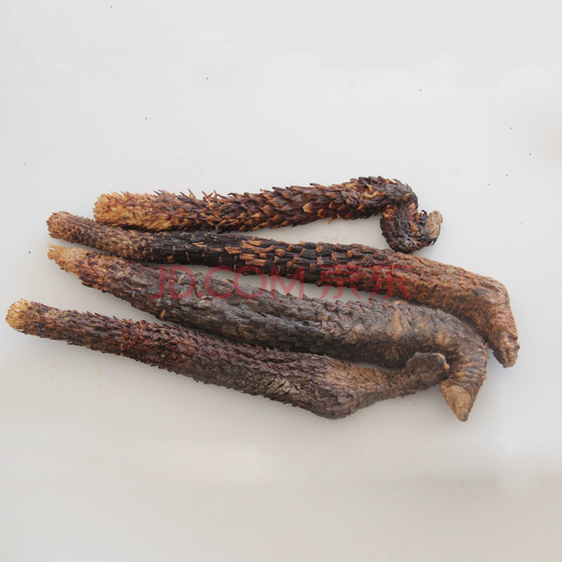 阿拉善精品肉苁蓉金锁阳片淫羊藿叶泡酒茶中药材配方 北草堂 油苁蓉整