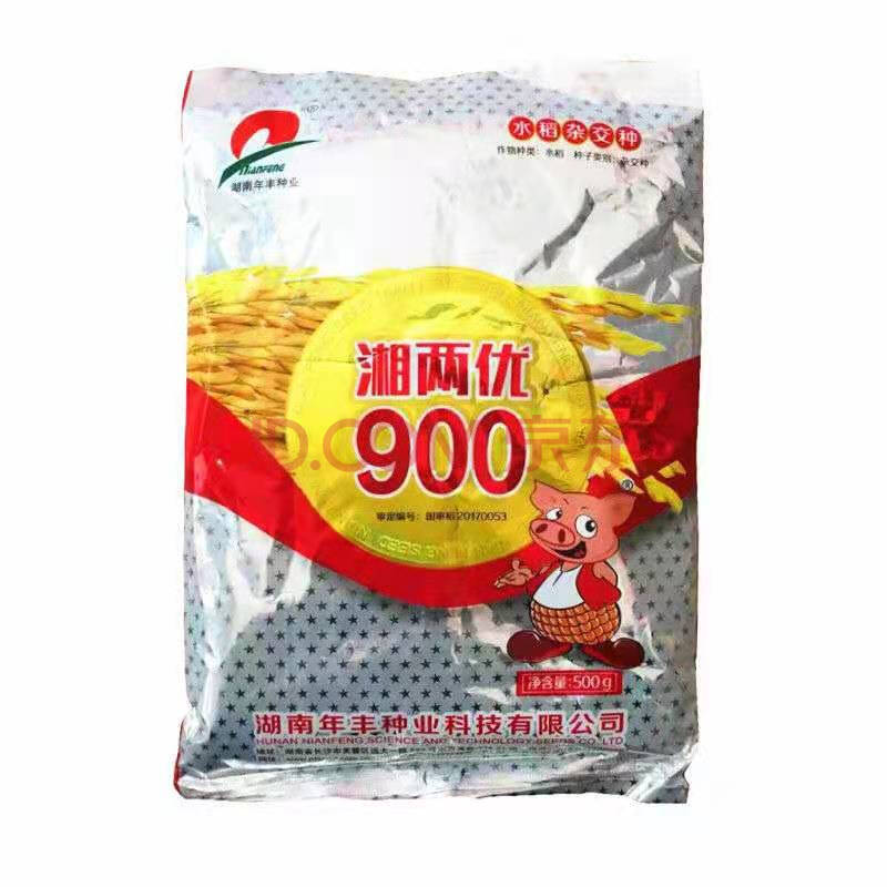 深两优862 y两优900 两优566水稻种子稻杂交稻籼稻国审稻谷种 湘两优
