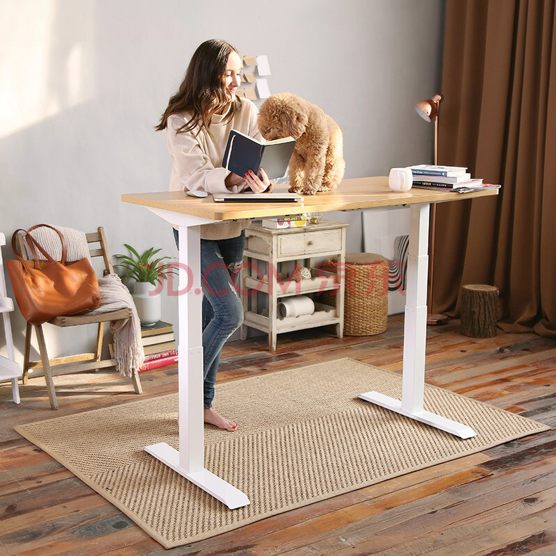 桌子升降台家用写字办公桌乐歌e3电动升降桌台站立智能办公家用增高