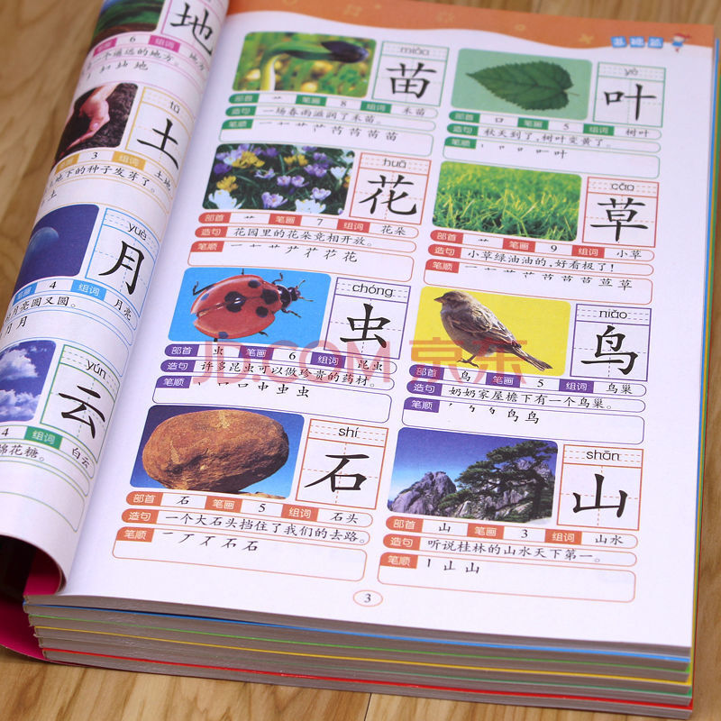儿童识字大王幼儿园看图识字书3-6岁学前班彩图注音认字早教图书 识字