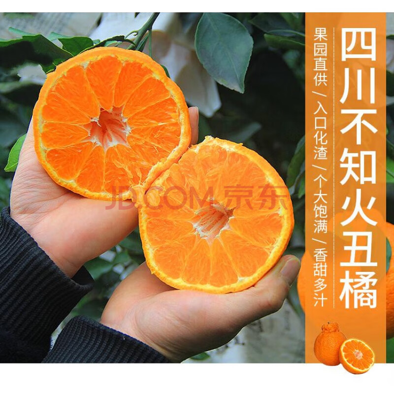 不知火与春见柑橘如何分辨(不知火和春见哪个好吃)