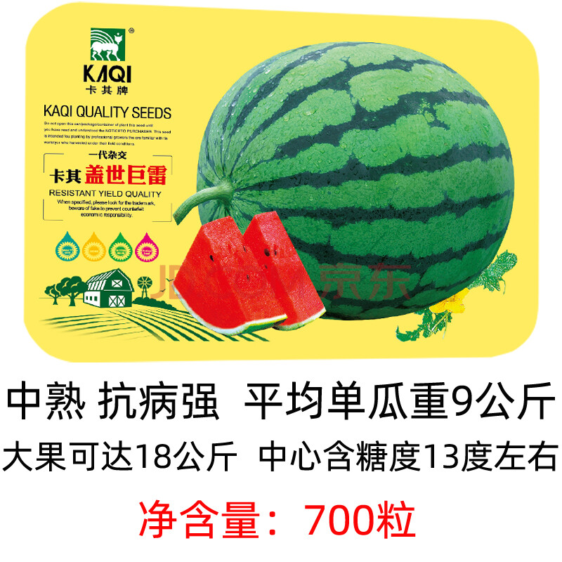 早佳8424麒麟西瓜种子籽甜王西瓜种籽懒汉瓜四季南方水果蔬菜孑 盖世
