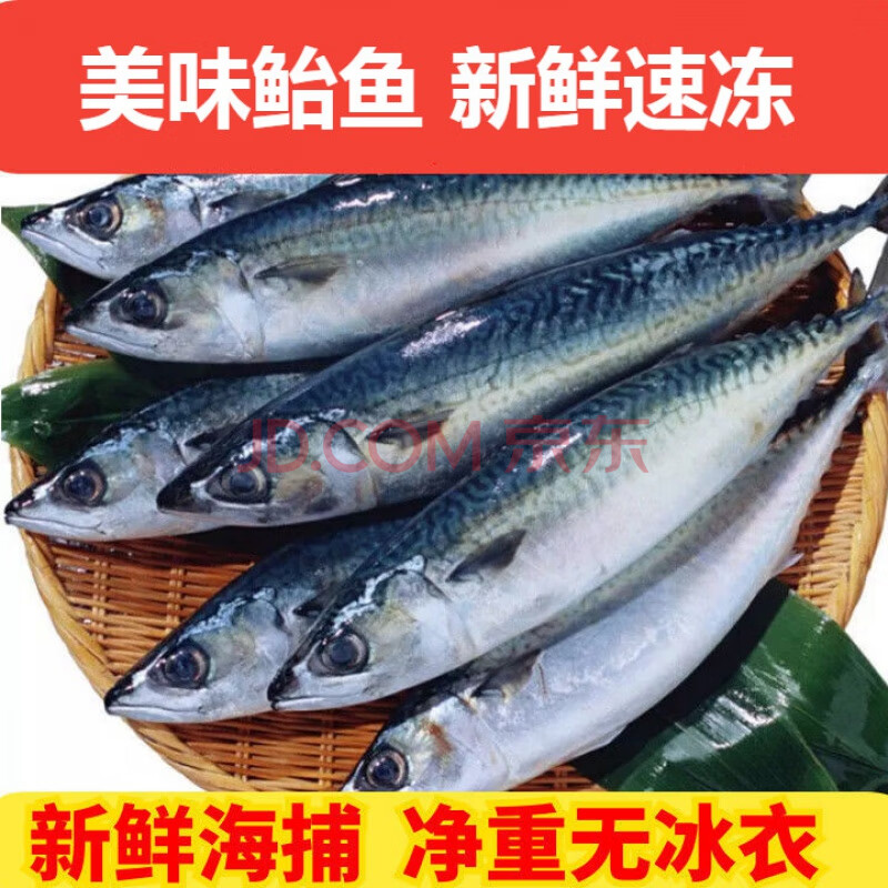 青魚 新鮮海鮮深海冷水魚海捕冷凍青佔魚 3斤 2斤(共5斤)