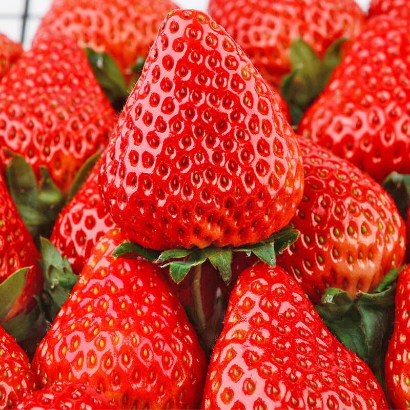 500g 丹东99草莓大果【图片 价格 品牌 报价】-京东
