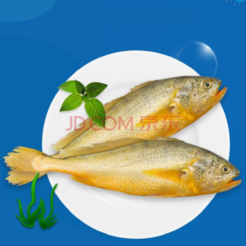 新鲜海鲜冻鲜黄鱼200g(泰州财政局专供)