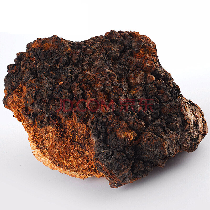 桦褐孔菌白桦茸桦树茸桑黄桦褐孔菌桦树茸泪500g