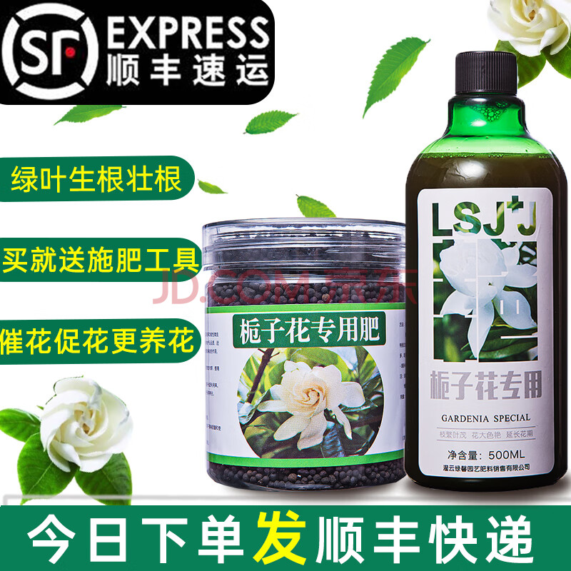 六素九加九梔子花茉莉花專用肥料家用磷酸二氫鉀硫酸亞鐵通用型複合肥