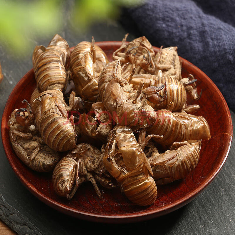 野生蝉蜕蝉退蝉衣知了皮蜕蝉壳蚱蟟皮金牛儿虫衣50g100g250g500g 蝉蜕