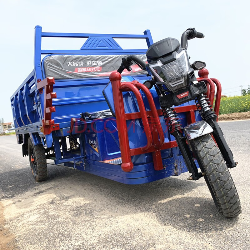 碟剎電動三輪車 載重王電動三輪車 拉貨三輪車 貨運拉貨載重王大功率