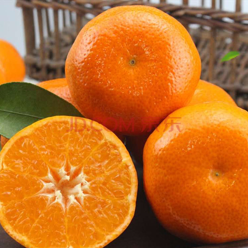 玫瑰橘子 当季新鲜水果橘子台州玫瑰桔子 玫瑰蜜桔 5斤