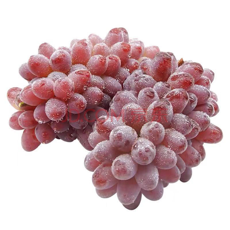 【s级果蔬】东北茉莉香葡萄新鲜水果郁金香玫瑰香提子无籽红提时令