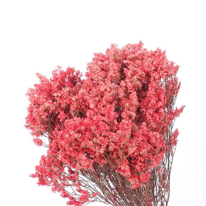 云醉花 永生花水晶草 多色可选90-100g/扎颜色会有深浅变化 红色