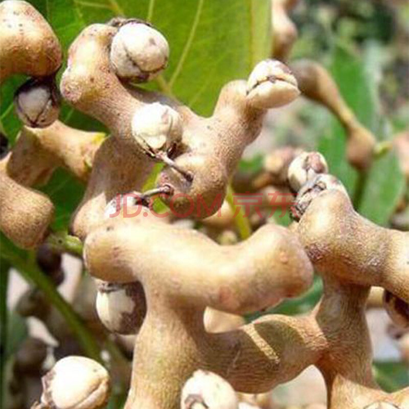 【泡酒专用】拐枣大万寿果鸡爪梨干鸡拐枣金钩子干品发货 2斤 干拐枣