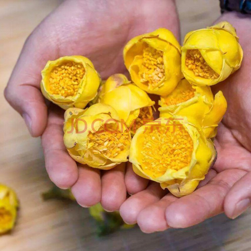 河磊庄 广西十万大山正宗自然野山冻干国宝金花茶防普金花茶特级精选